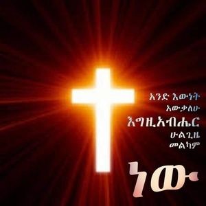 Meet your Posher, Abeba